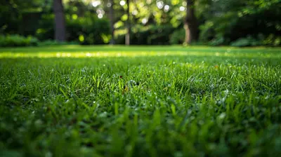How to Keep Your Lawn Lush for Maximum Curb Appeal