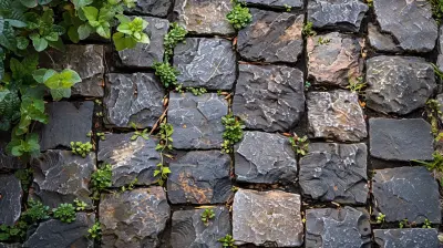 Selecting the Right Pavers for a Front Yard Upgrade