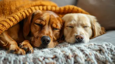 Why the Demand for Pet-Friendly Residences Is Increasing