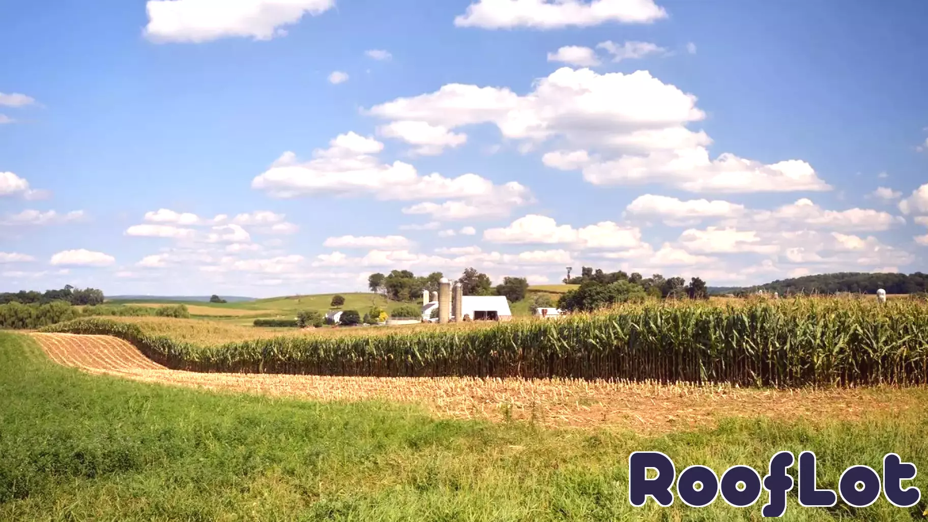 Corn Prices Drop, but Farmland Values Keep Climbing