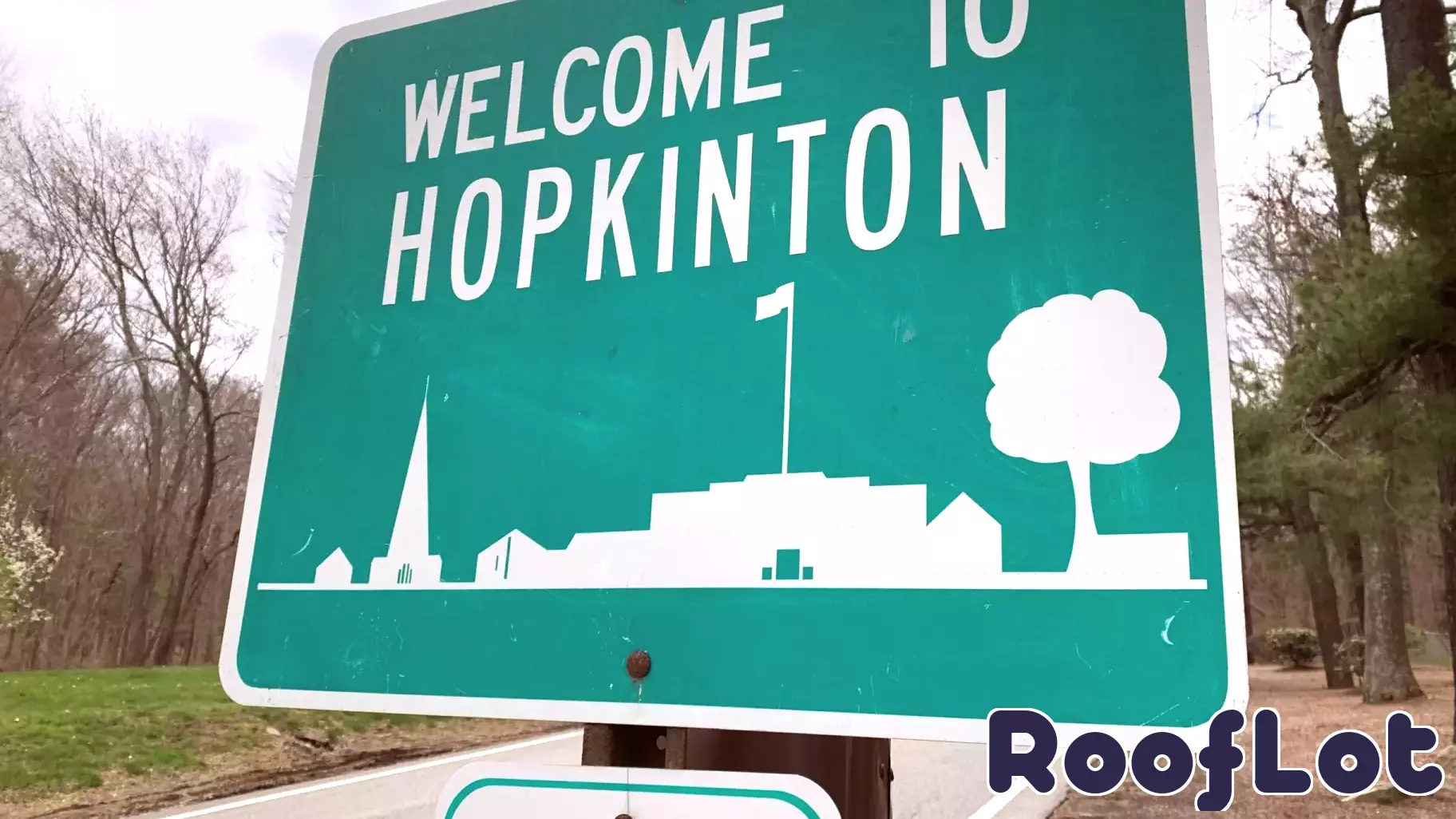 Insights on the Real Estate Market from Local Realtor