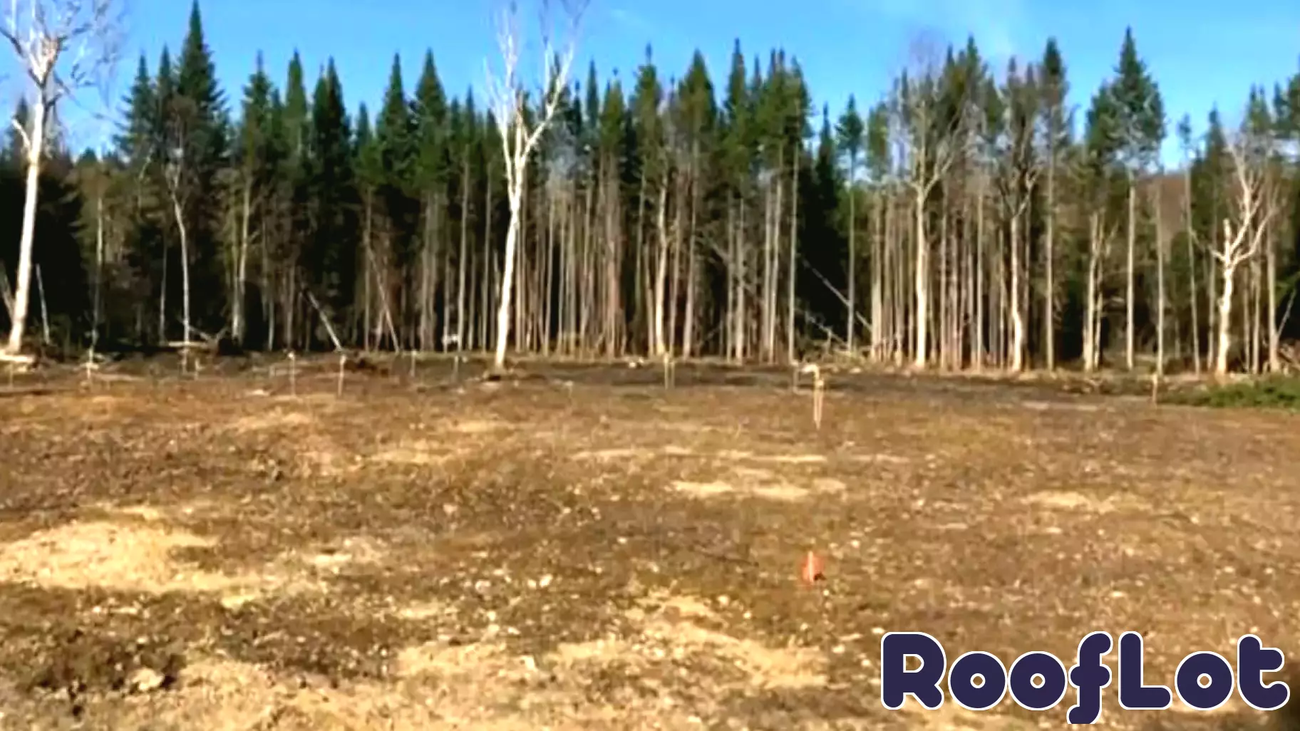 New Hampshire Couple Faces Real Estate Fraud in Land Purchase