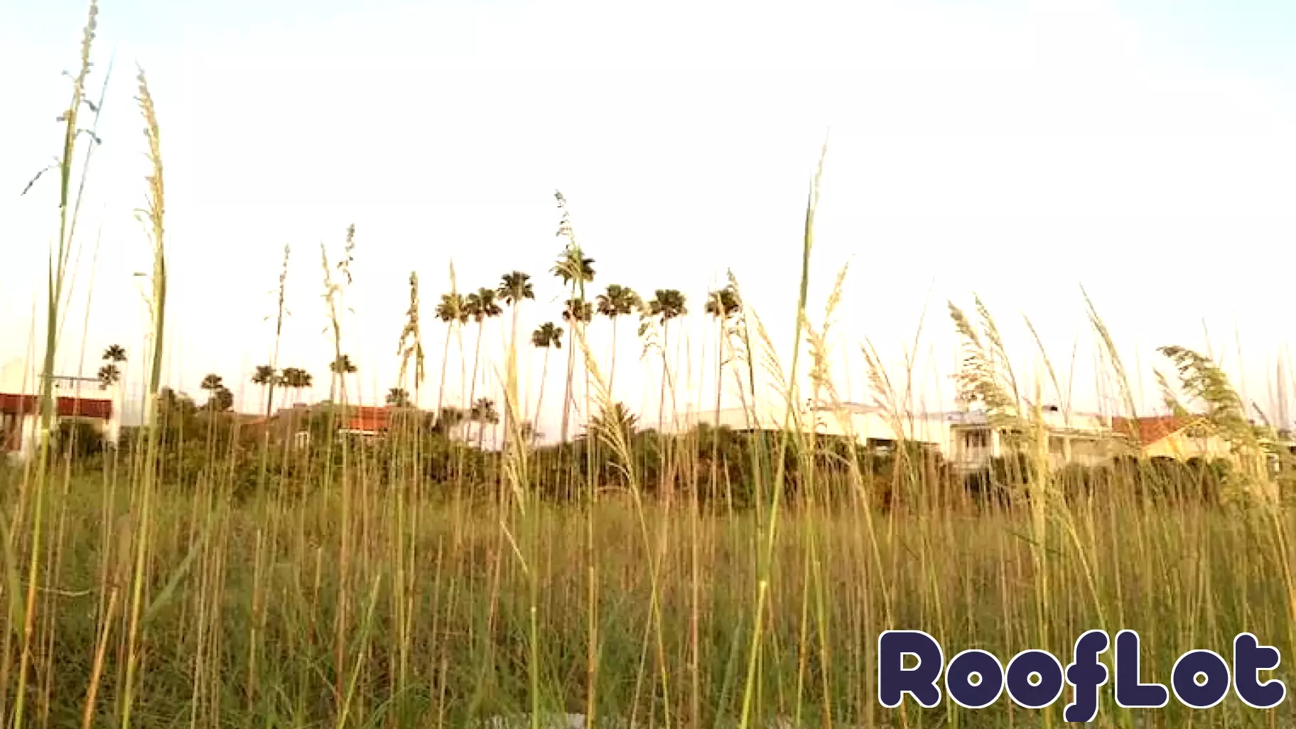 Pinellas Beaches Real Estate August 7-14