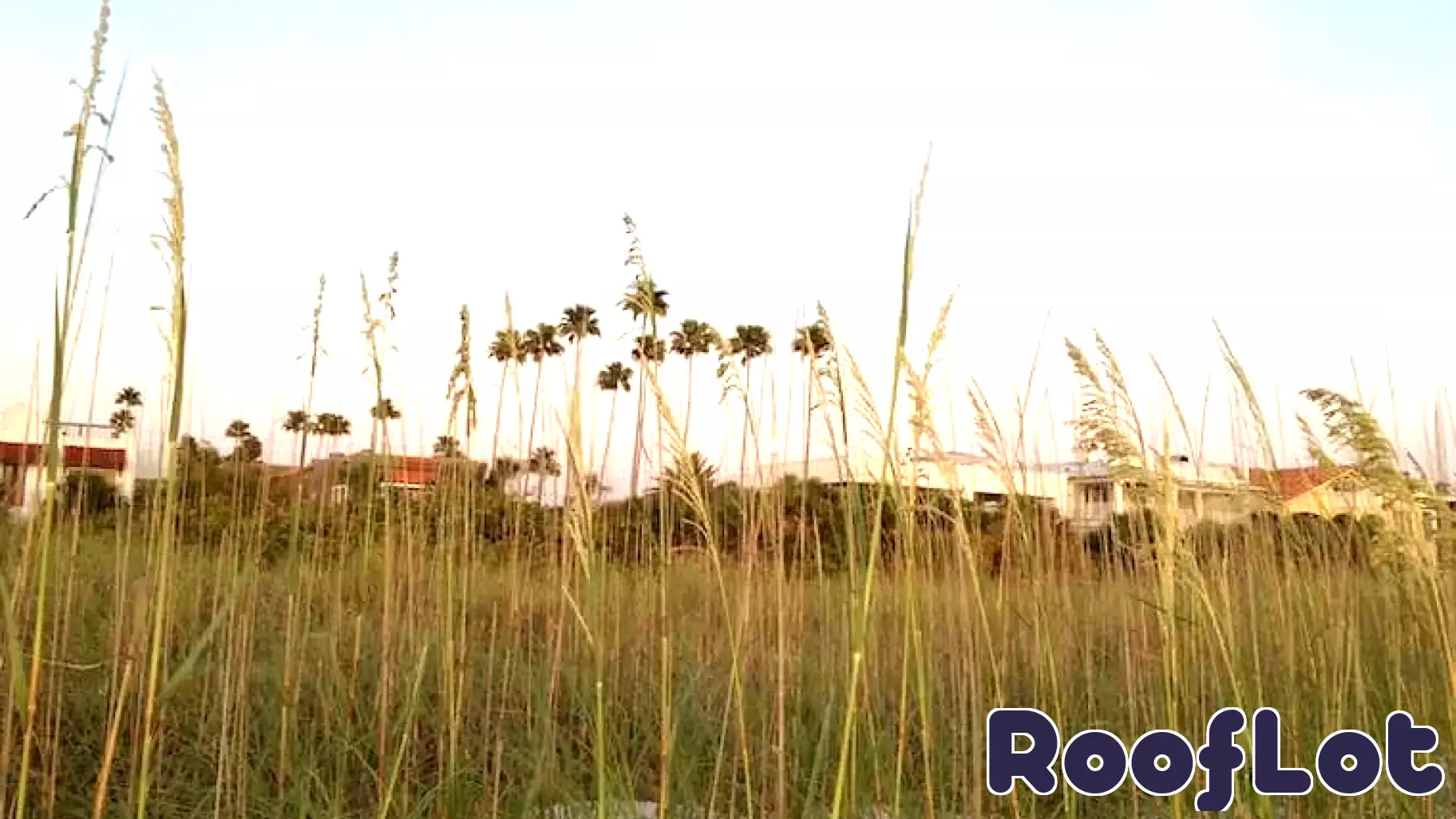 Pinellas Beaches Real Estate July 17-24