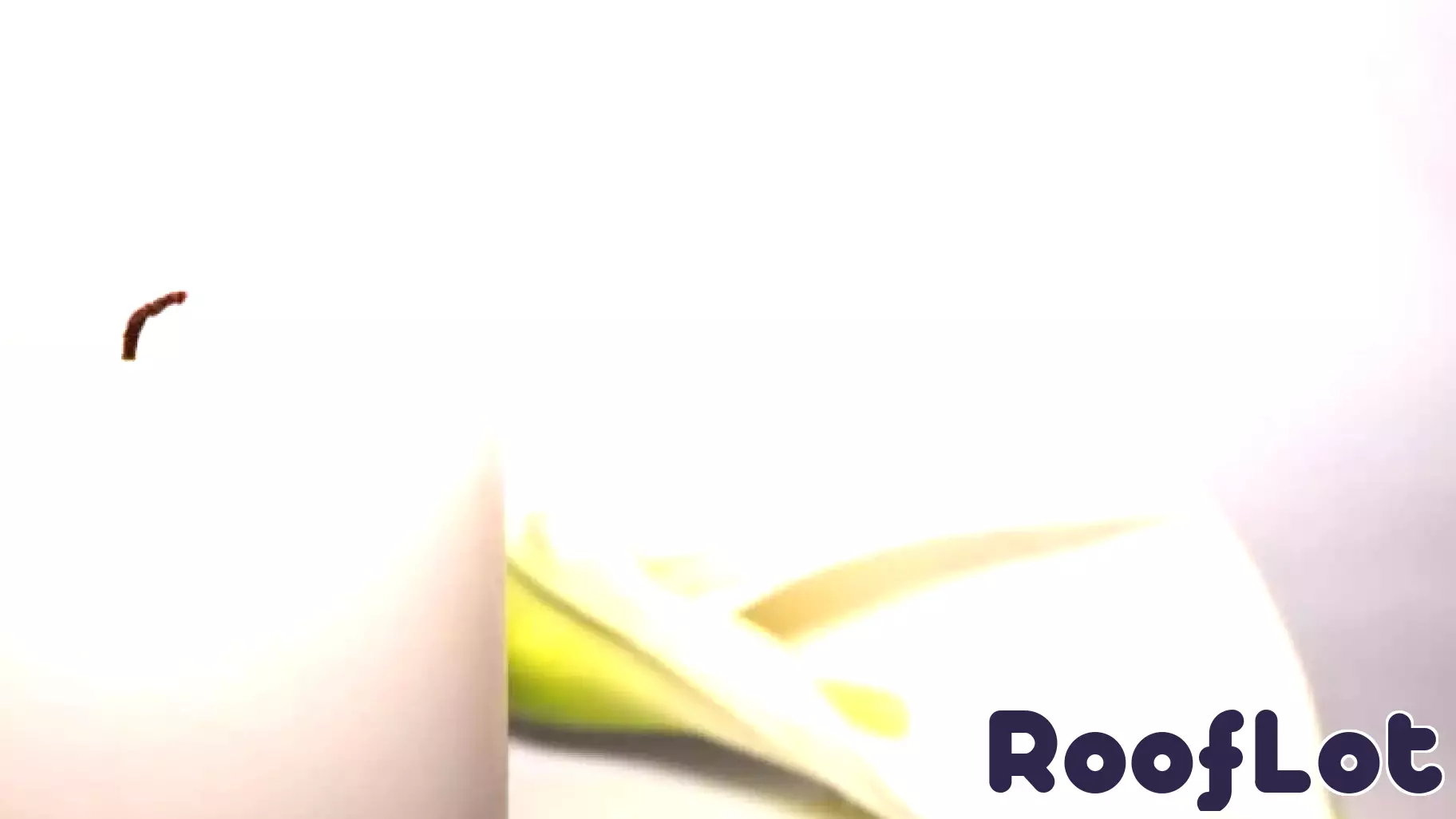 Remembering the Lives We Lost in New Jersey's Commercial Real Estate in 2025