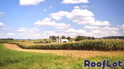 Corn Prices Drop, but Farmland Values Keep Climbing