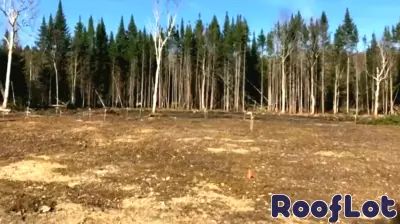 New Hampshire Couple Faces Real Estate Fraud in Land Purchase