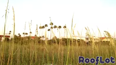 Pinellas Beaches Real Estate August 7-14