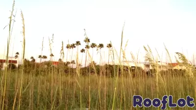 Pinellas Beaches Real Estate July 17-24